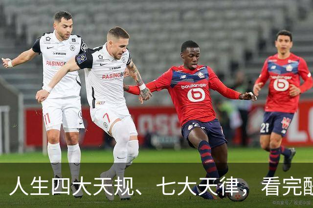 人生四大天规、七大天律，看完醍醐灌顶！原来我们一直都活反了