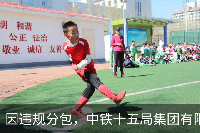 因违规分包，中铁十五局集团有限公司被暂停全军物资工程服务采购